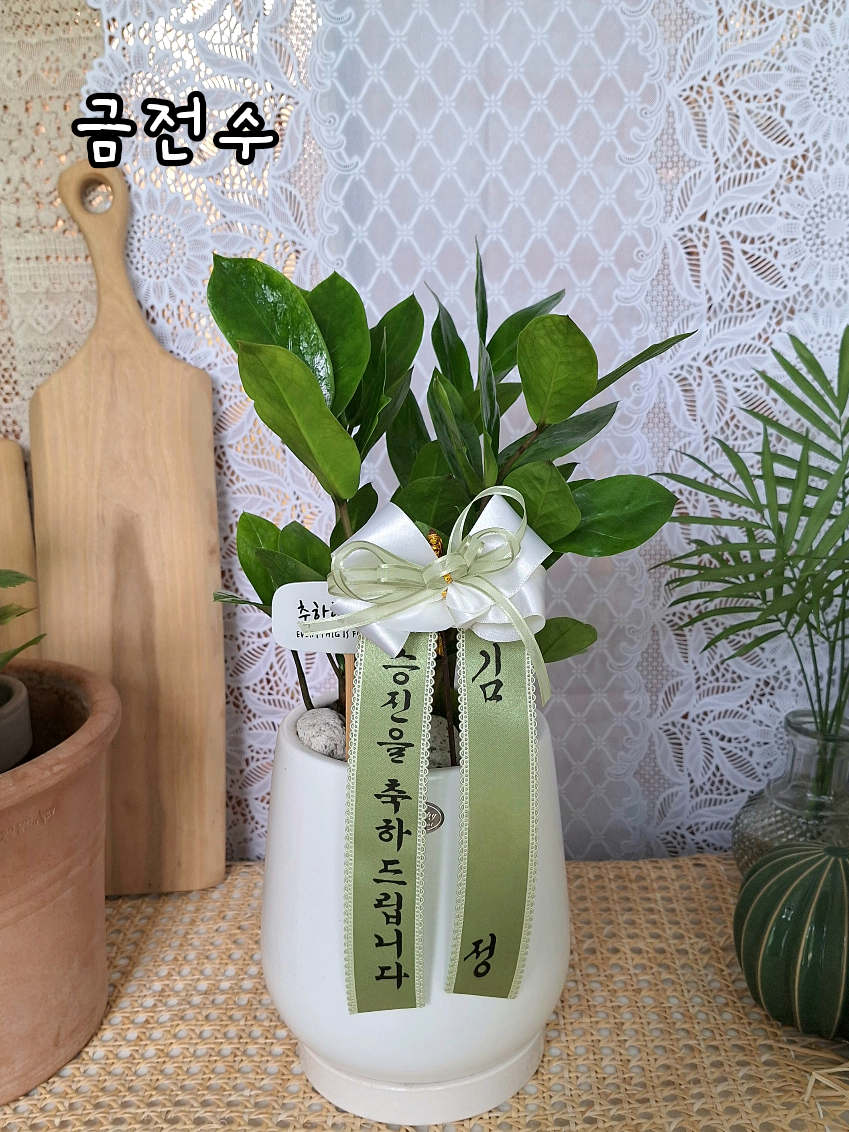 @hayaflower