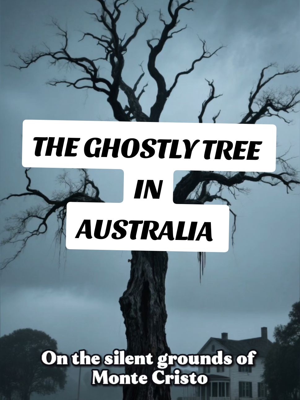 @Horror_tales