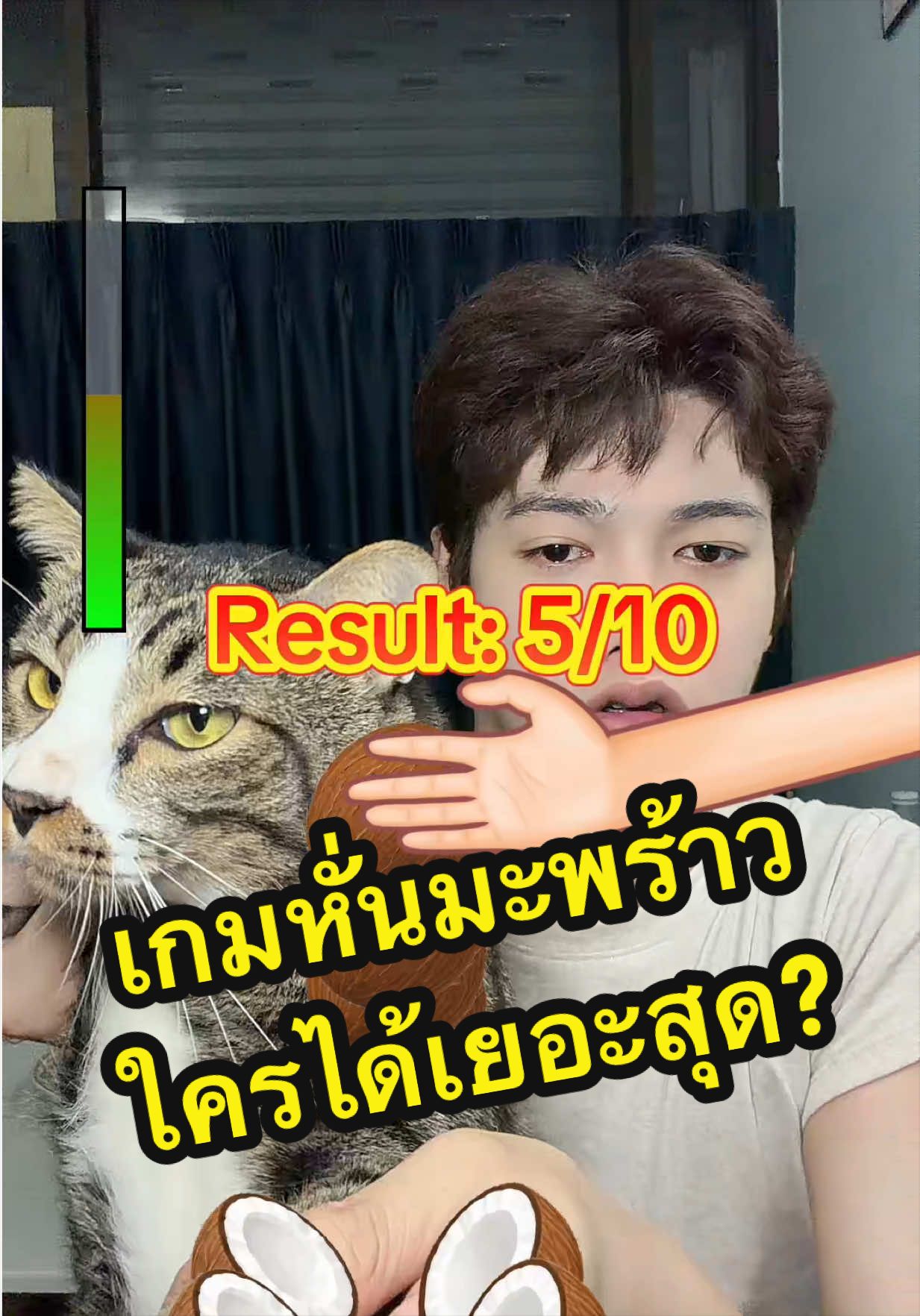 @✨แผ่นฟิล์ม✨