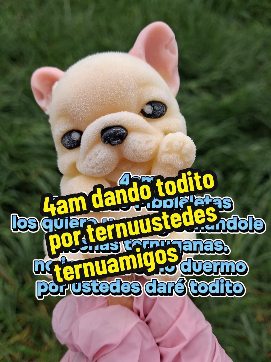 @TernuFood y Teenis Market