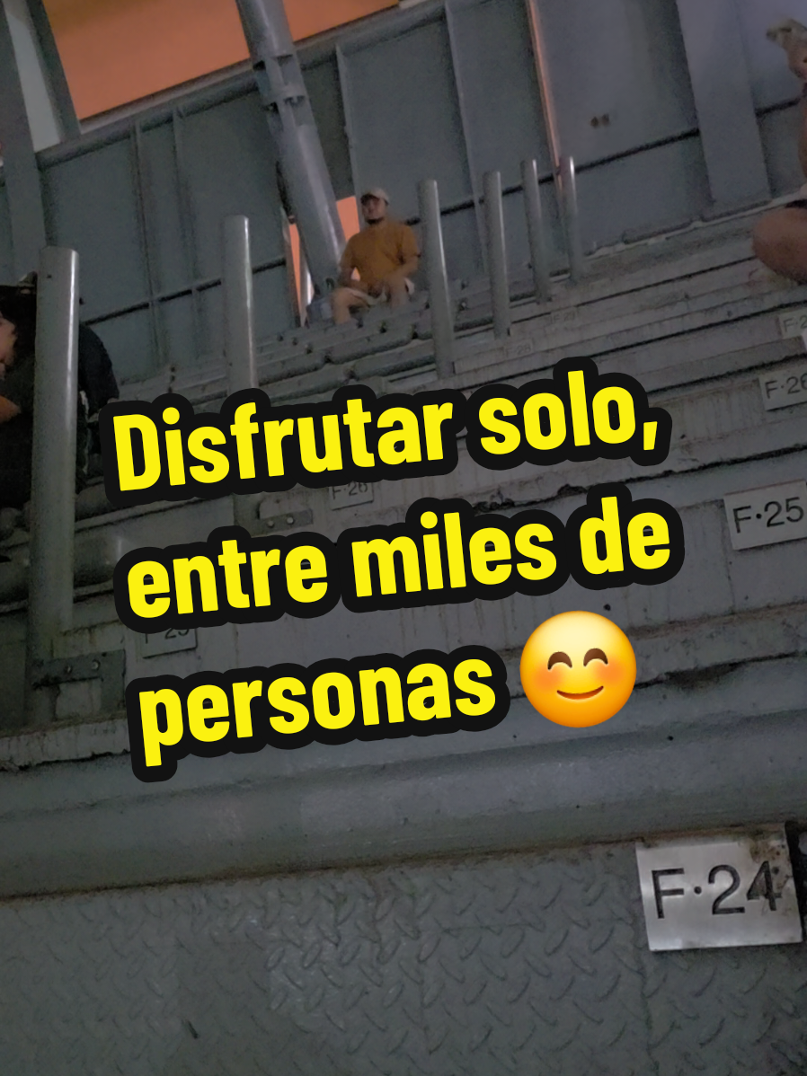 @Festesters
