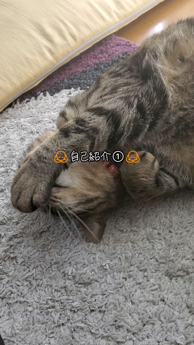 @😻kazuki😻