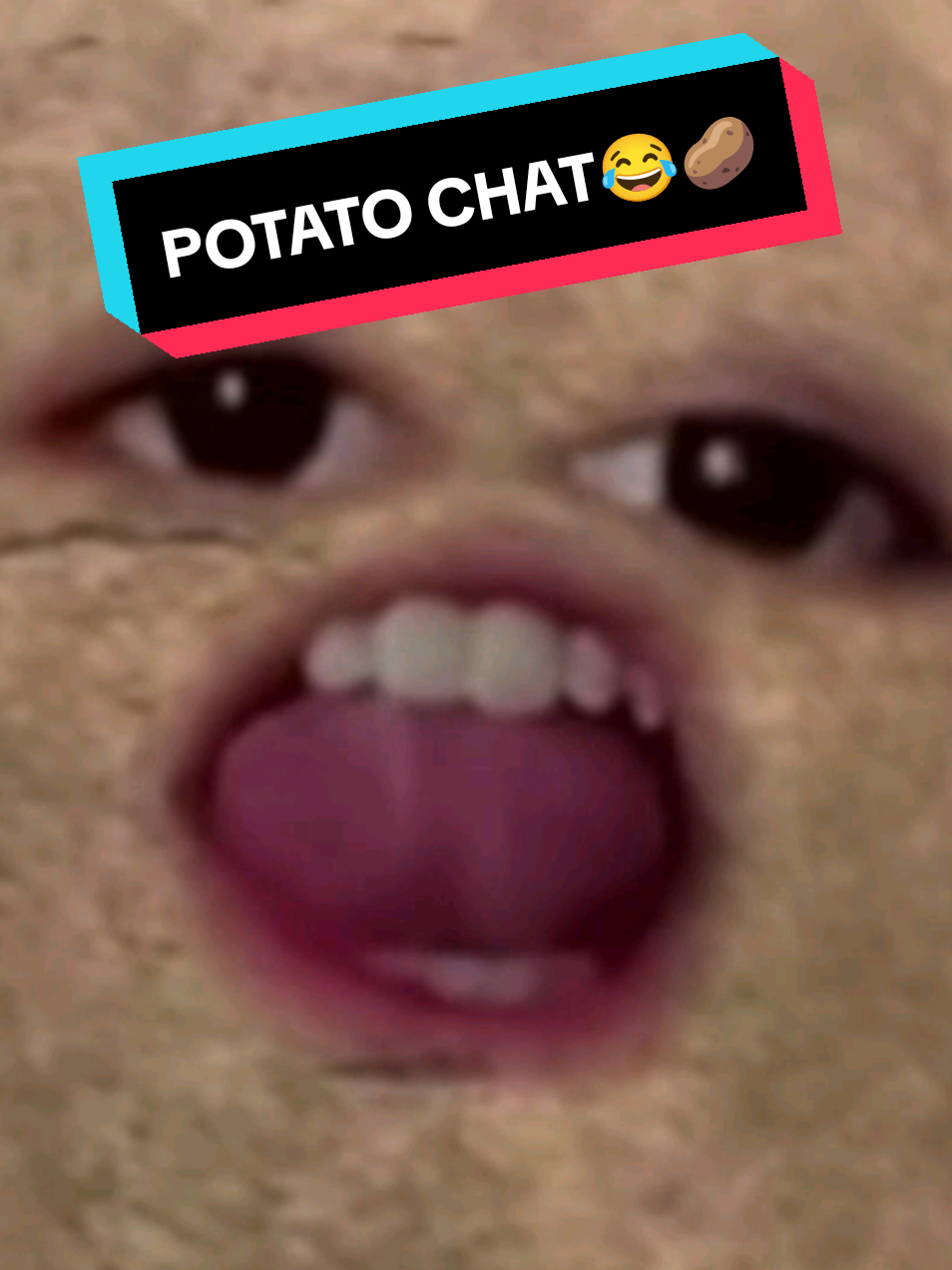@BaldHeadCam