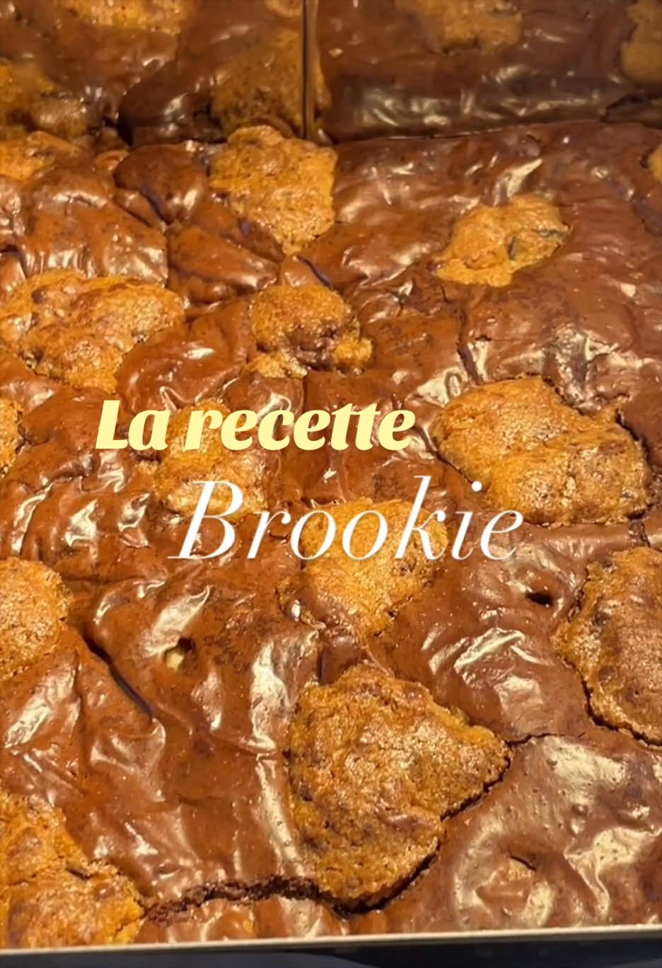 @𝐂𝐡𝐚𝐧𝐧𝐨𝐥𝐥𝐞 | 𝐎𝐒𝐄🌸