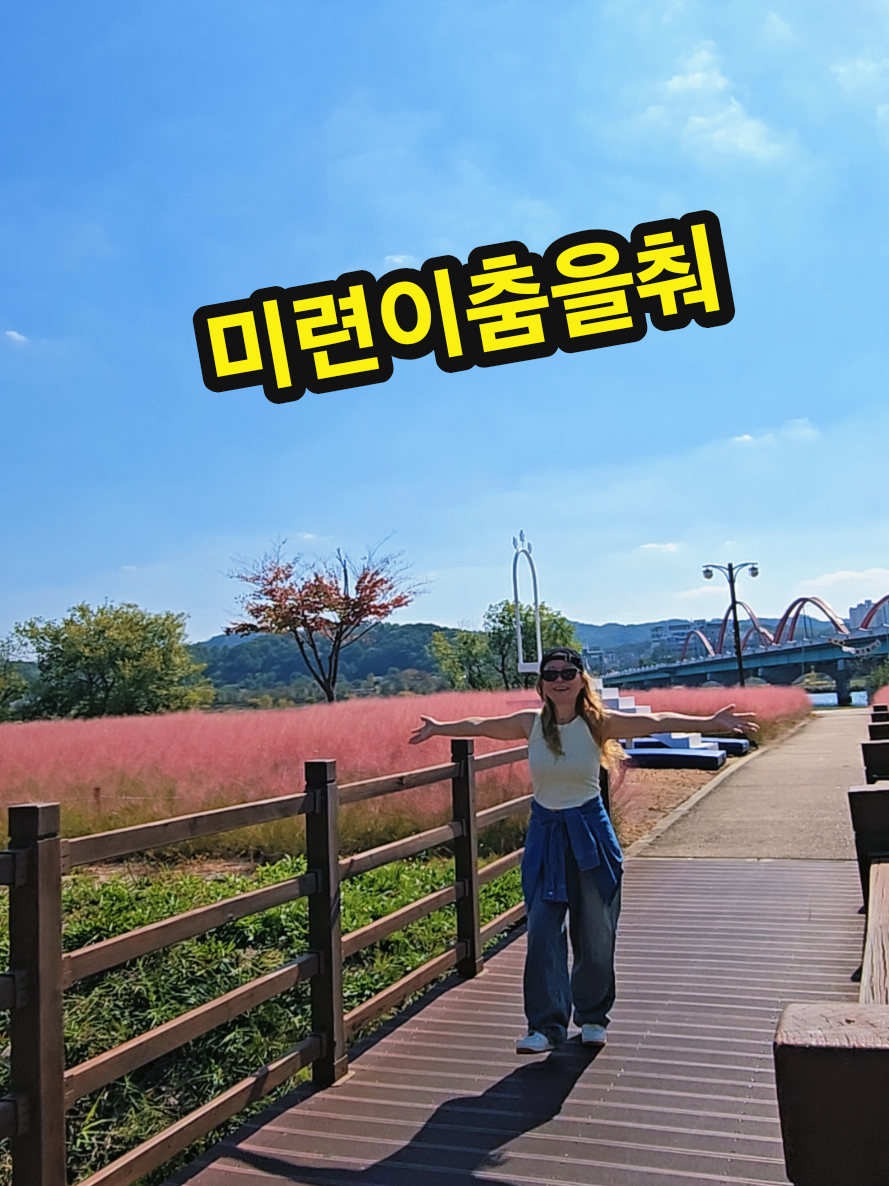 @틱톡왕비