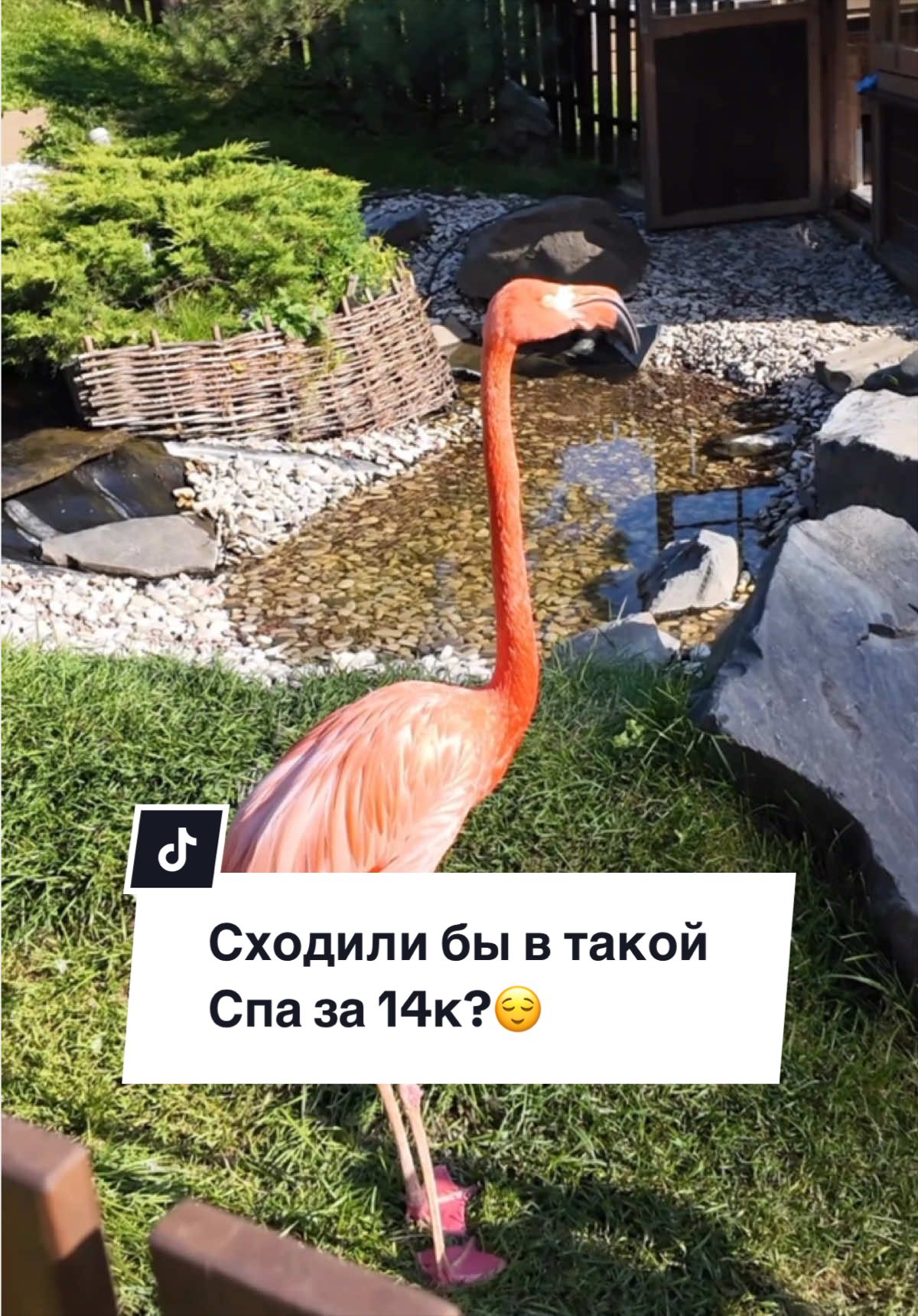 @Саша - бьюти-блогер ваша