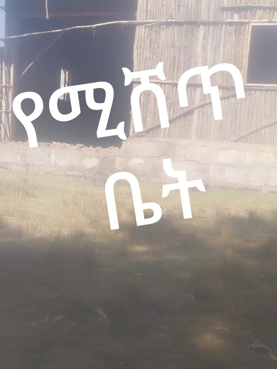 @Brtukan🌍Tadese