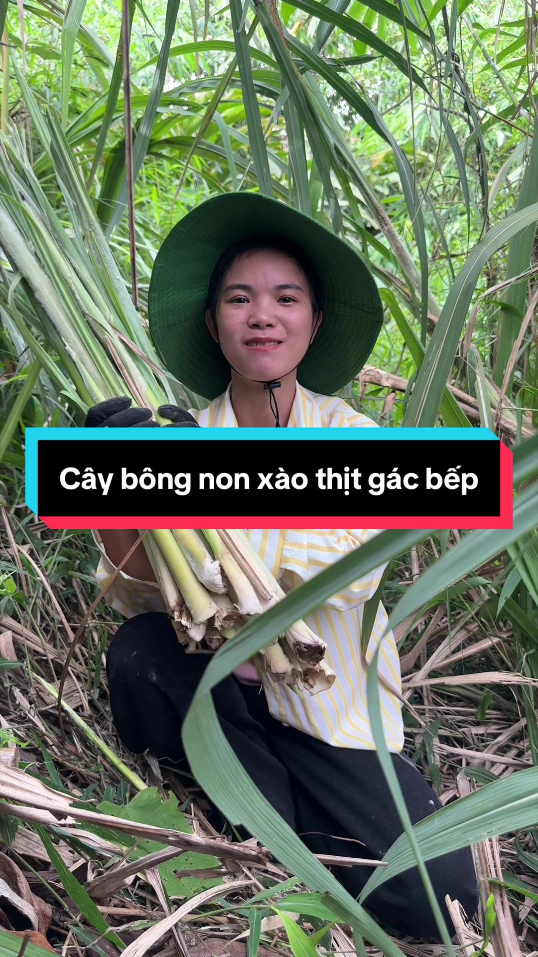 @Nhi Dao Đỏ