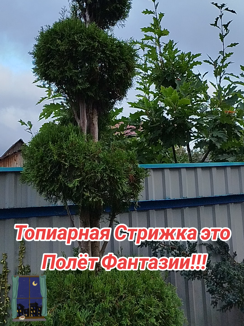@IRINA
