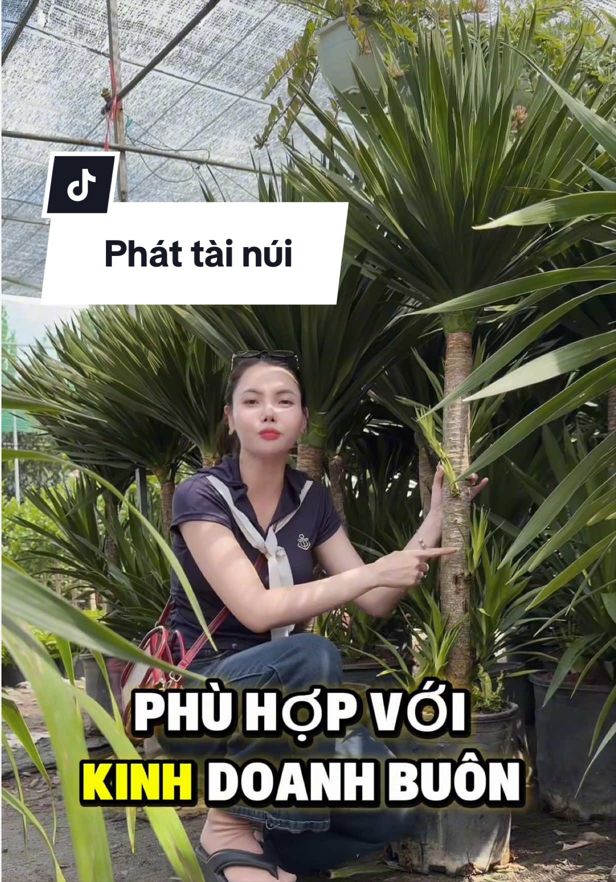 @Tiệm Lá Nhỏ