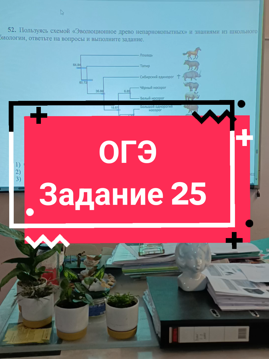 @Биология 🐢