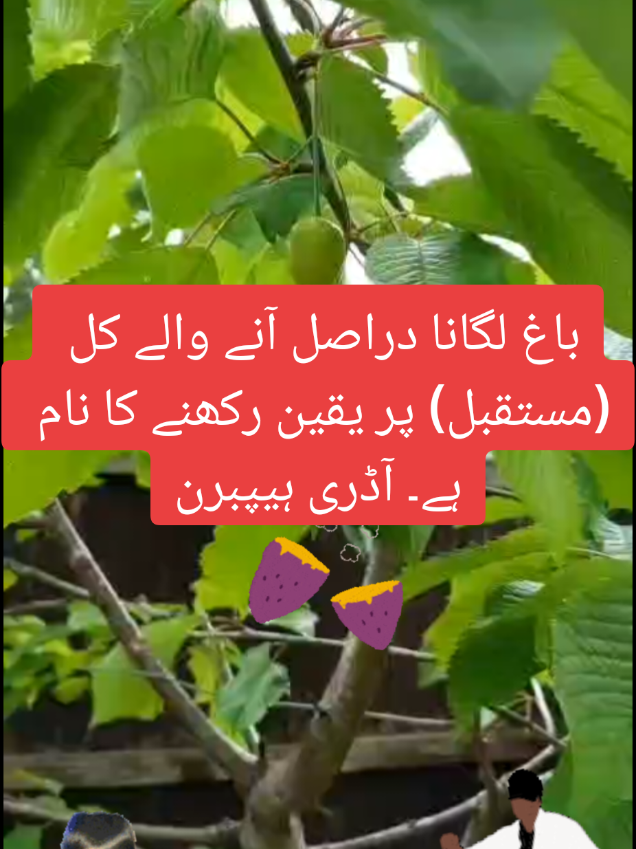 @🌟🇵🇰Gohar_e_Nayab🇵🇰🌟