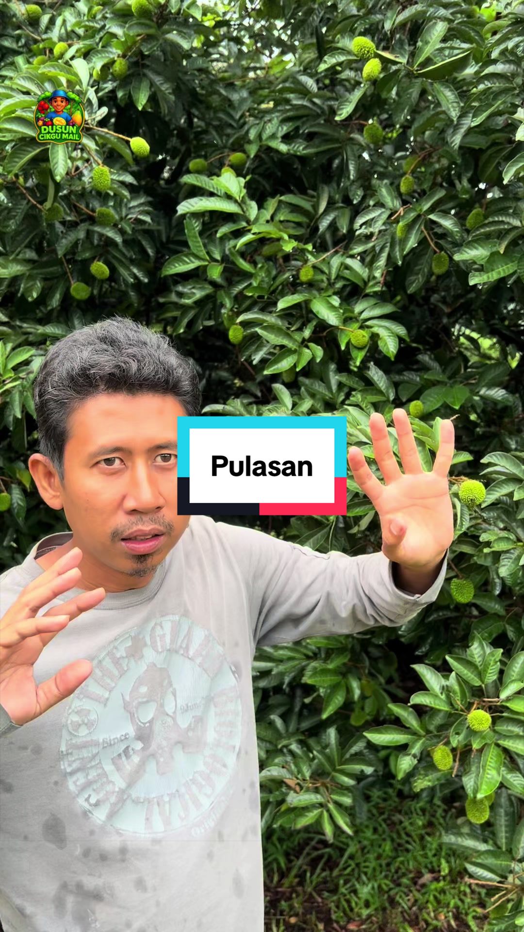 @Dusun Cikgu Mail