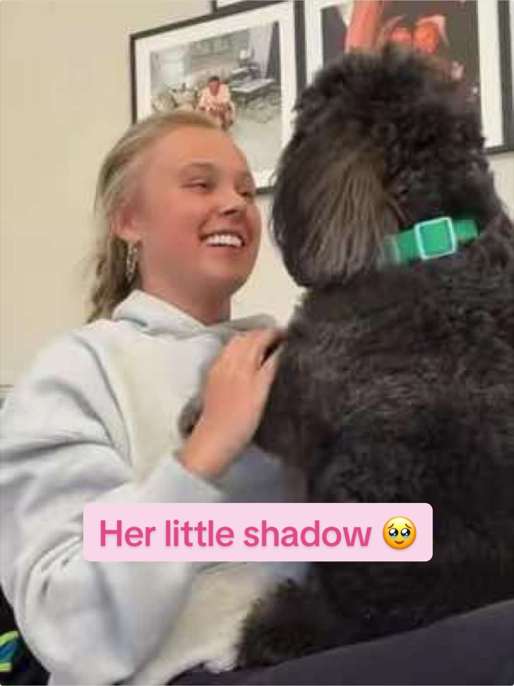 @aussiecojofan ♾️🩷