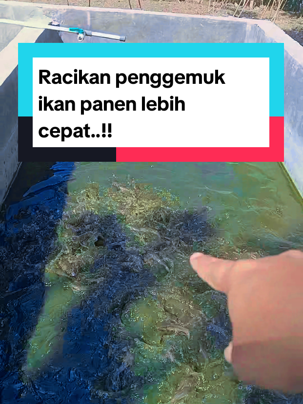 @Kang_Ewi