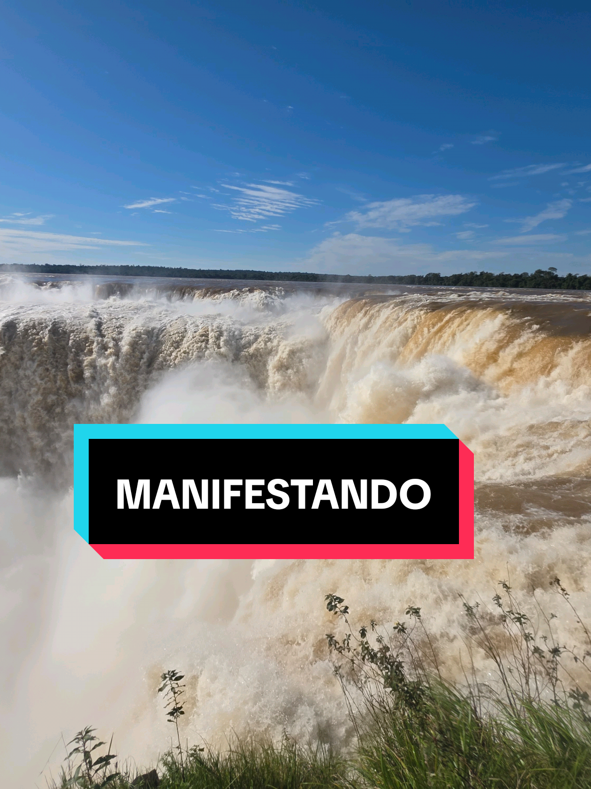 @Lulita_manifestacion🪐✅️