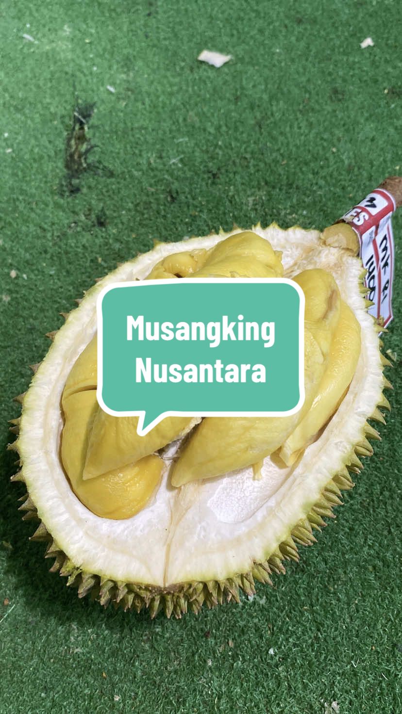 @Rumah Tamma Durian