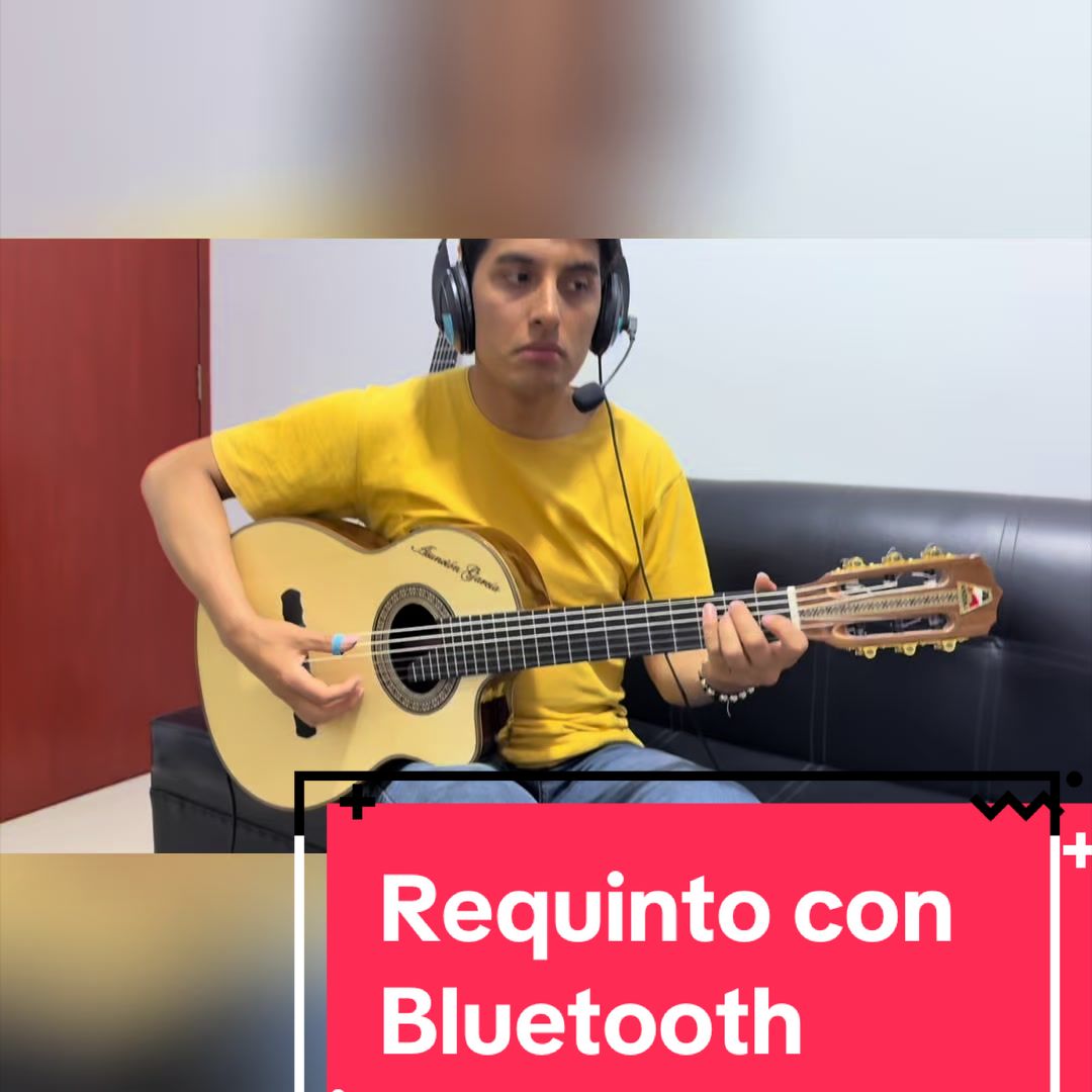 @Guitarras Andina