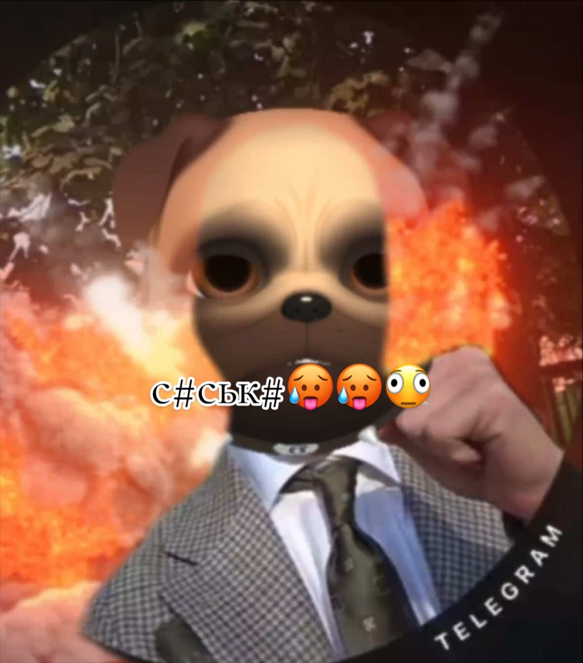 @блин шизоидная