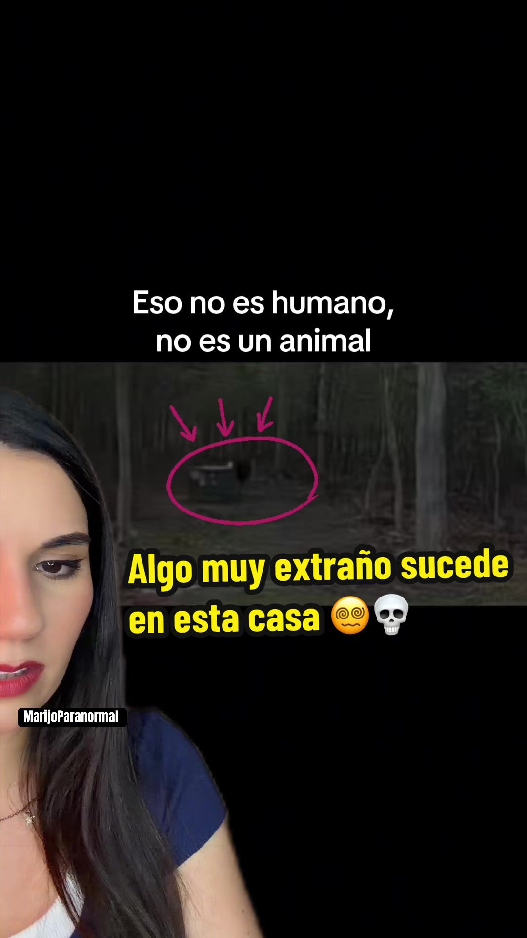 @MaríaJosé Arce