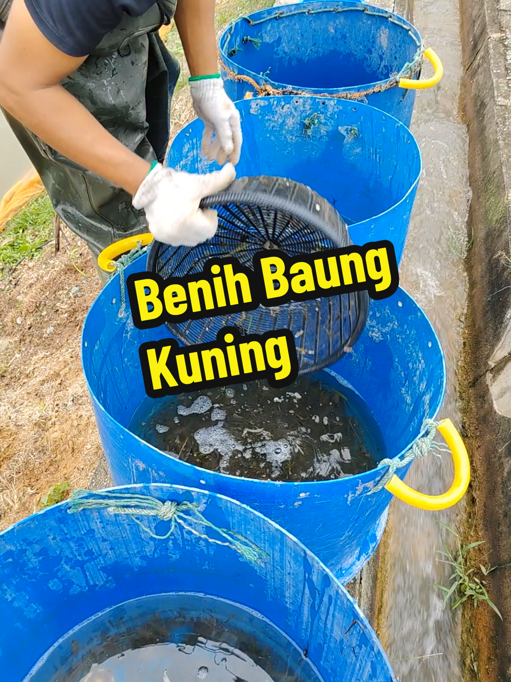 @DiZuL