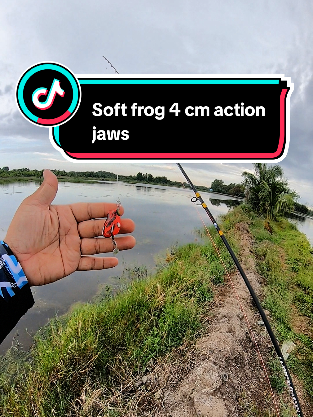 @Miyank Angler
