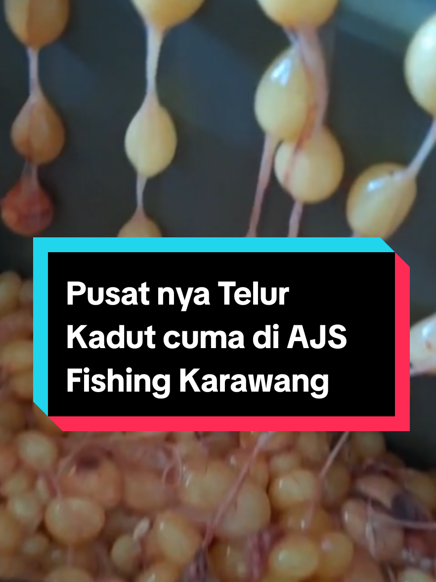 @TOKO UMPAN MANCING AJS FISHING