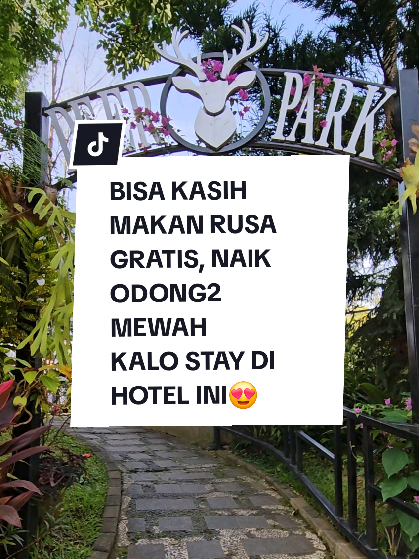 @Syadza&rsquo;s Meraacuunn