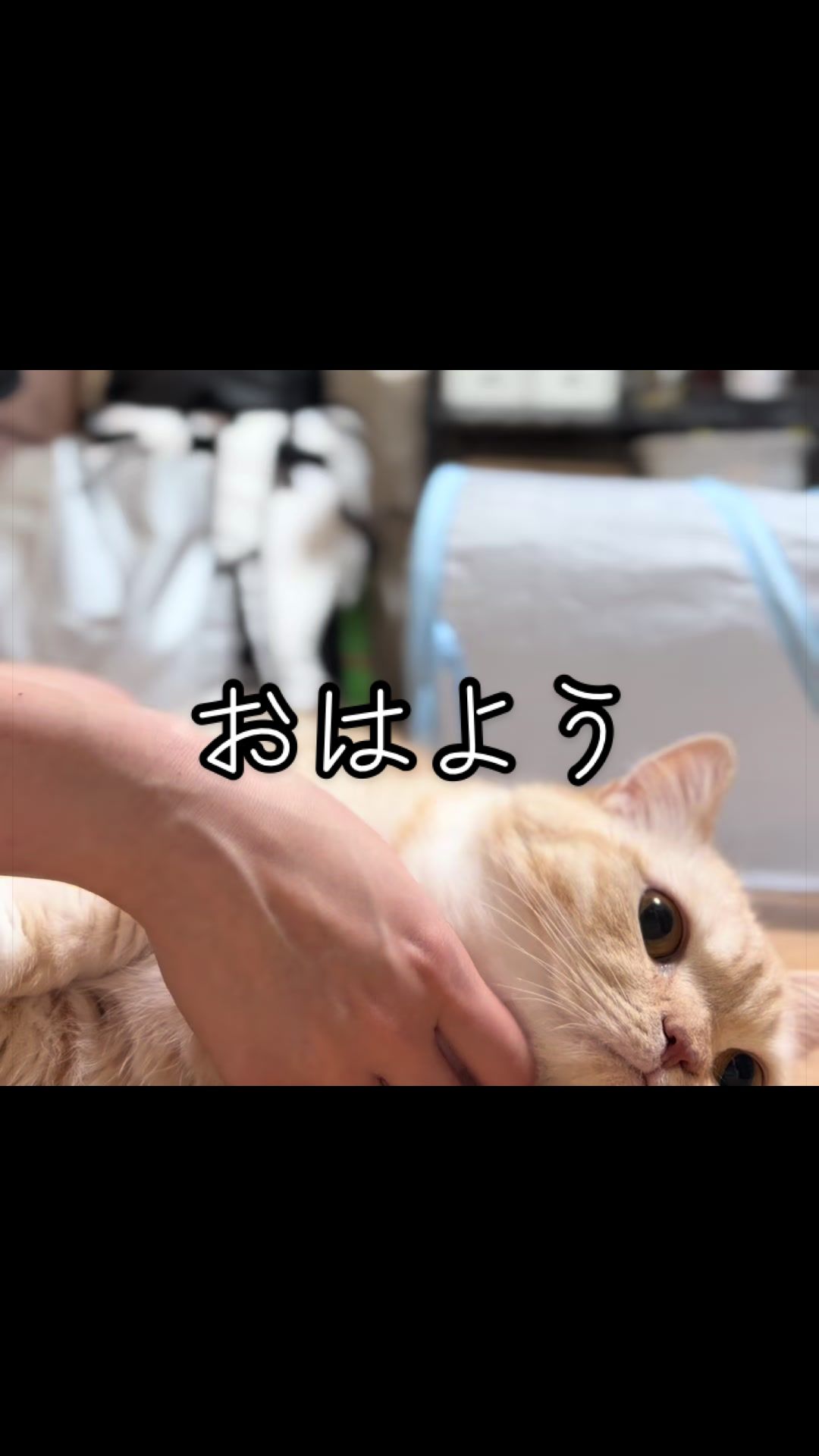 @縫くんと私