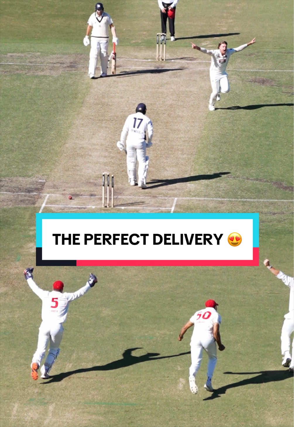 @Cricket Aus