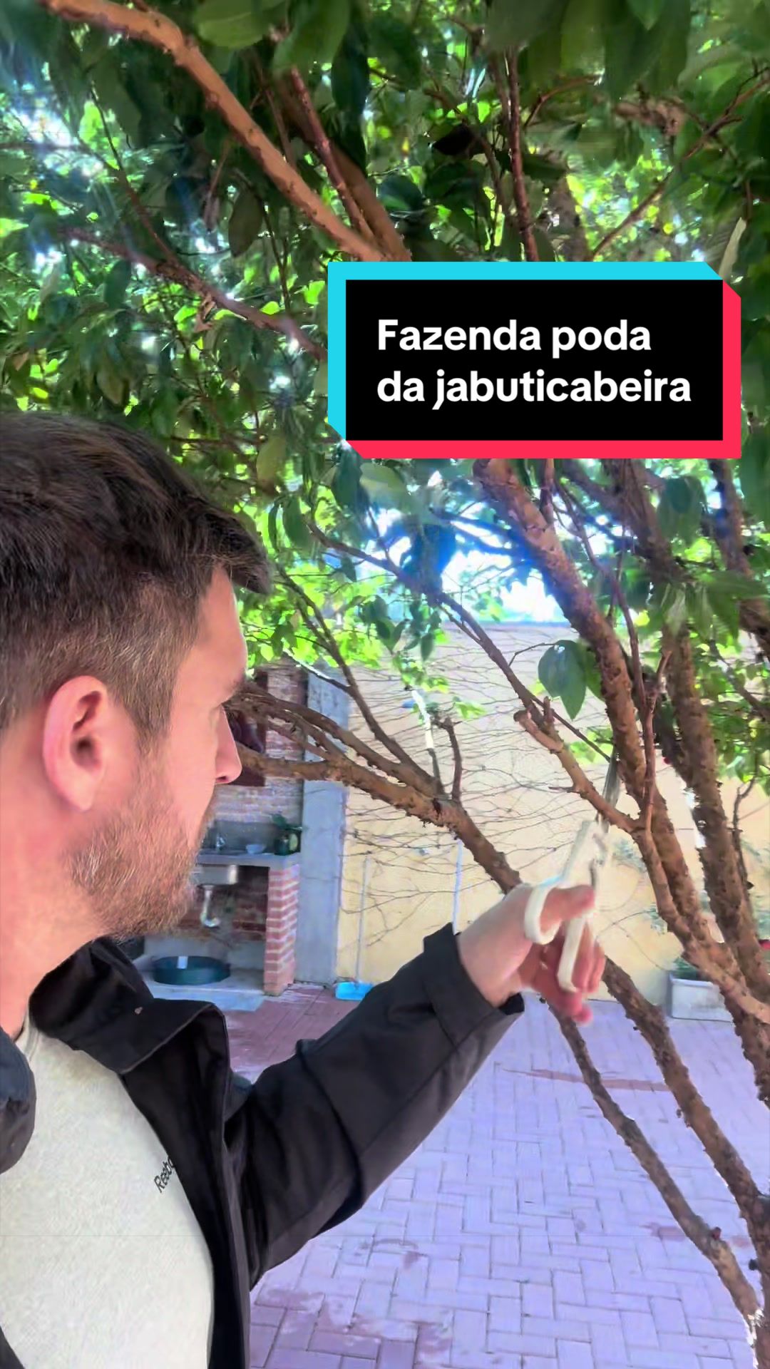 @Marcelo Zerbini