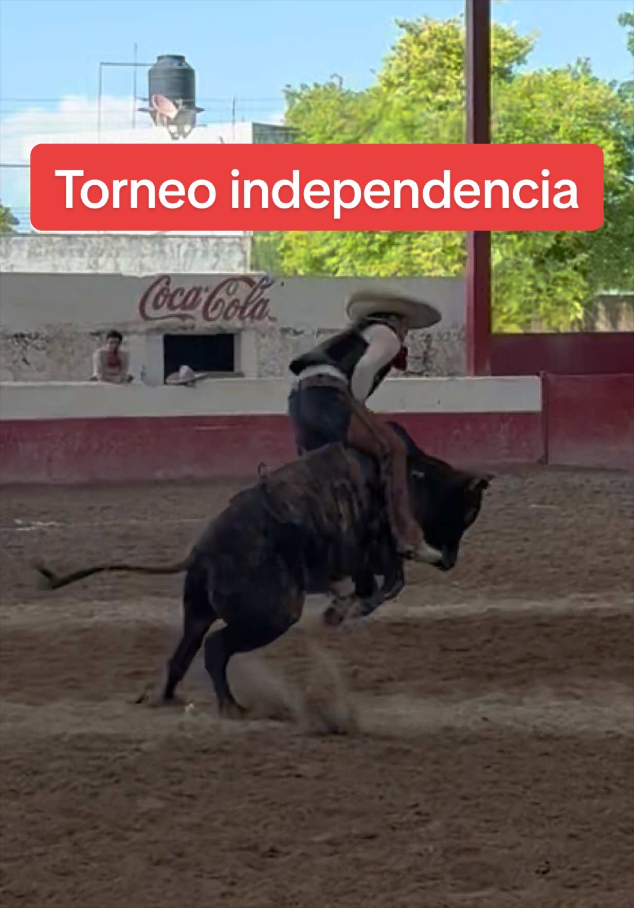 @José Ramón Medina