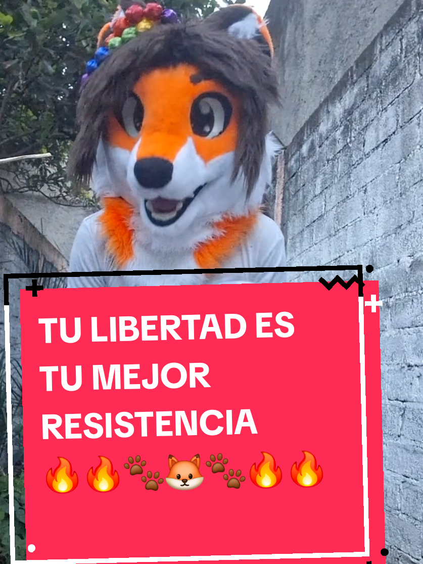 @Becobeza