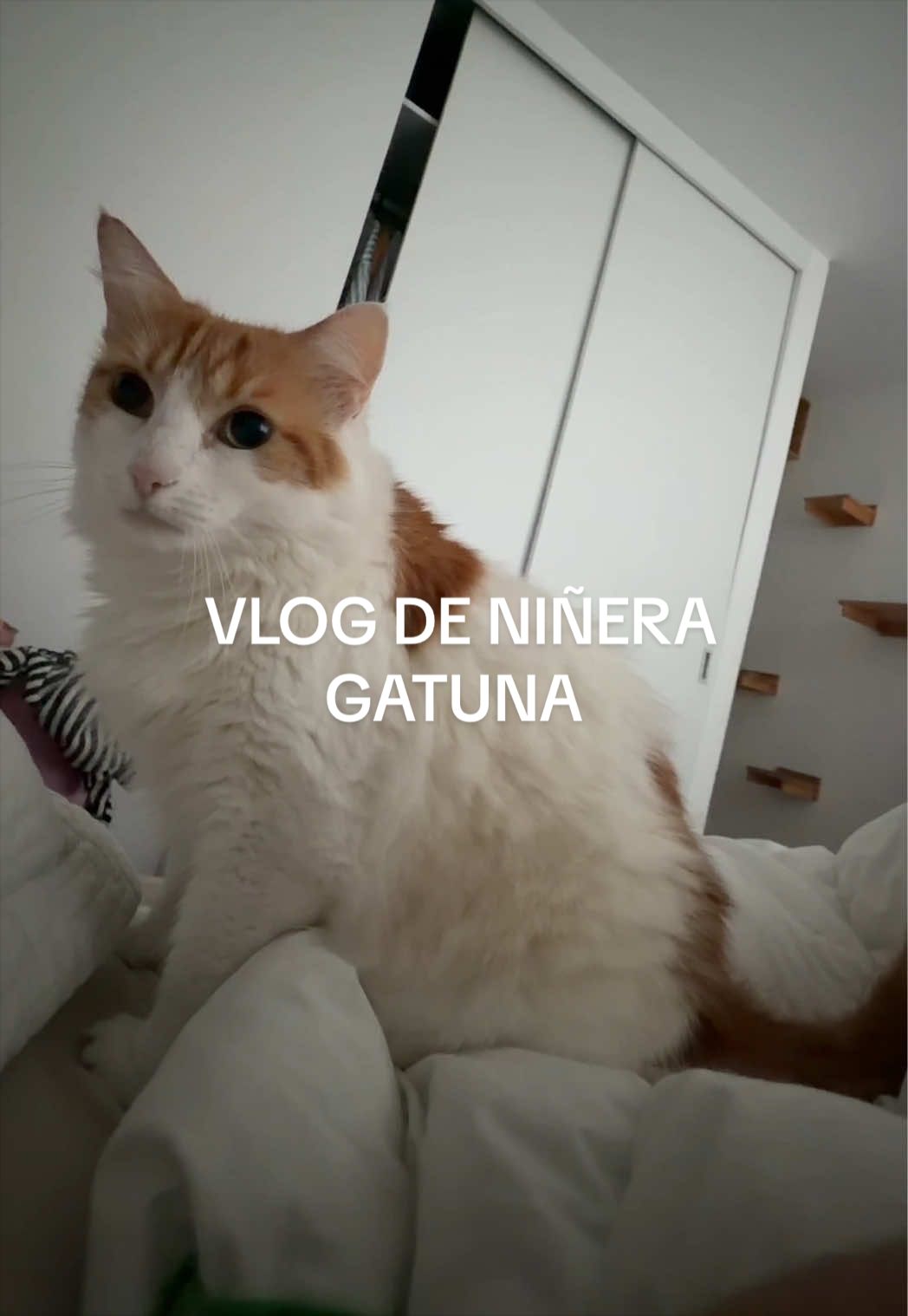@Paola Guerra V