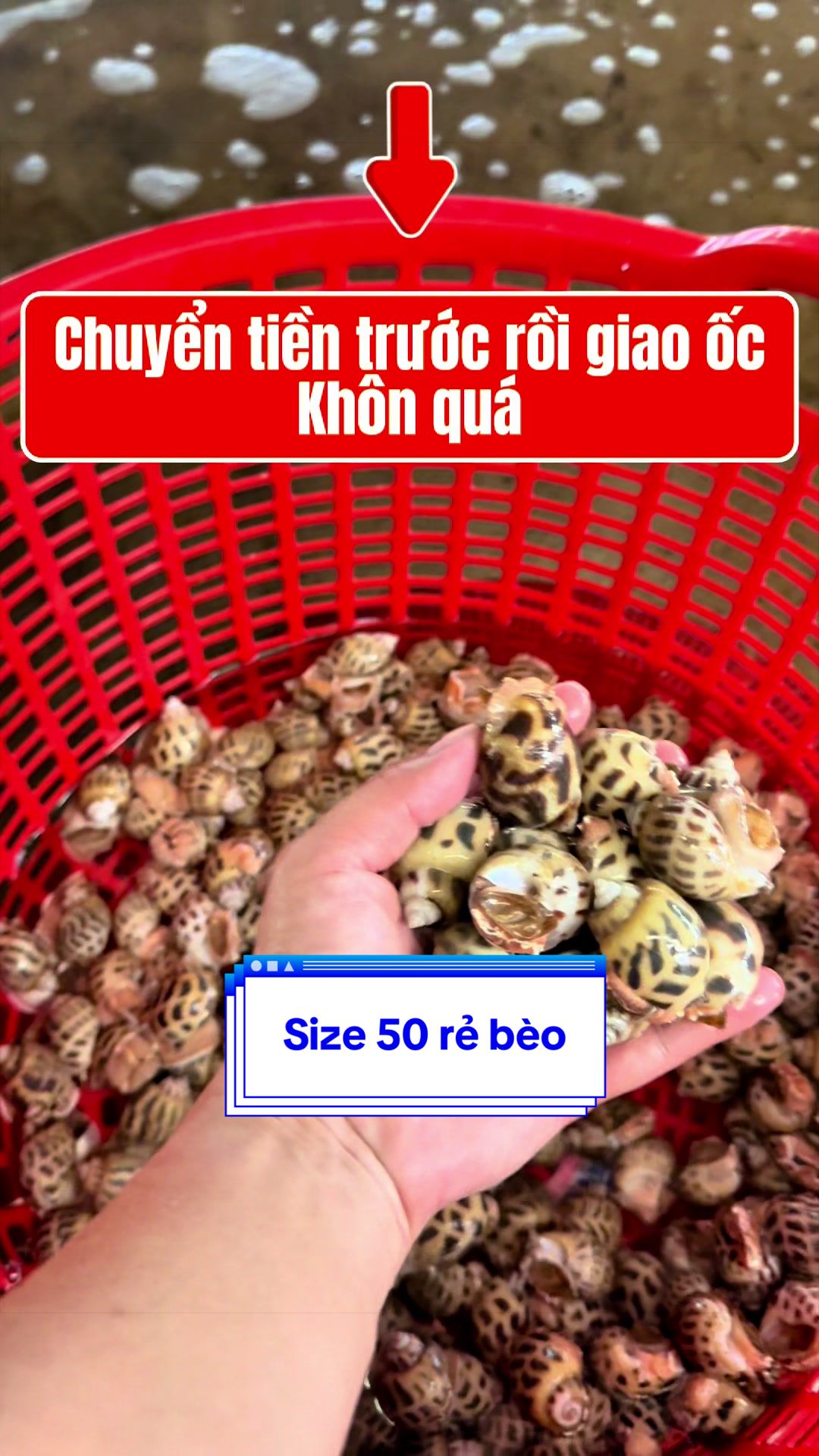 @Mr Qu&acirc;n