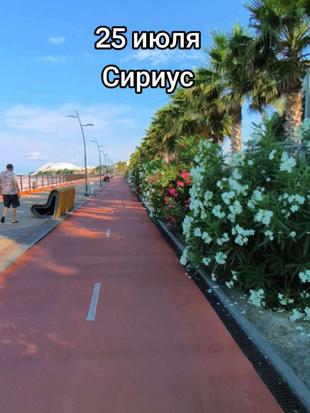 @Елена Костина