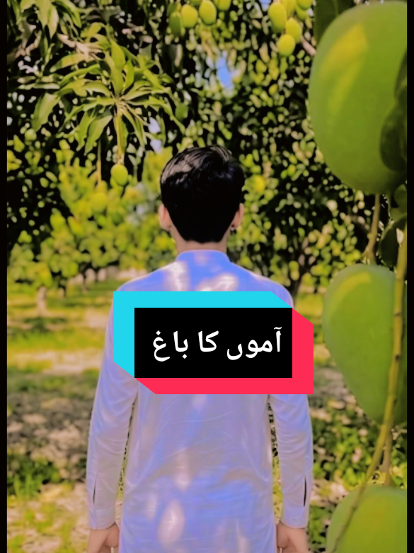 @نوابـــــــ فیصل
