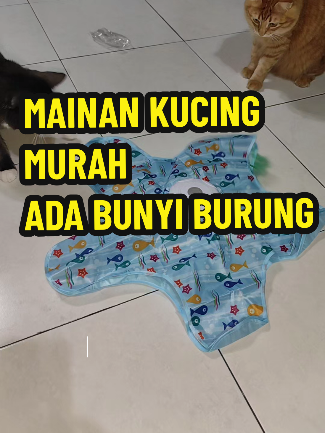 @Omma Kucing 🇲🇾🍉