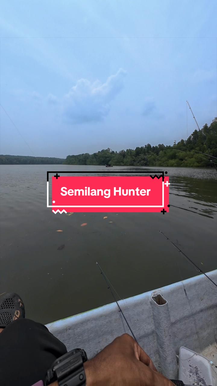 @cahidkings