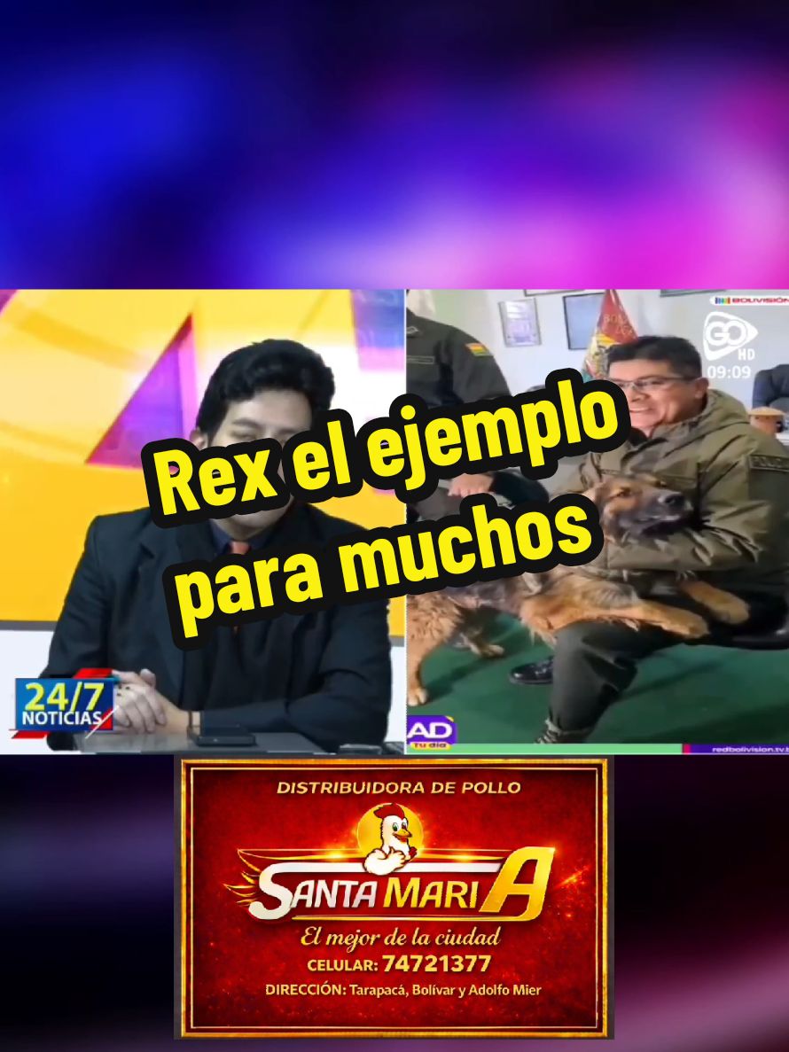 @Raulito_Alcala