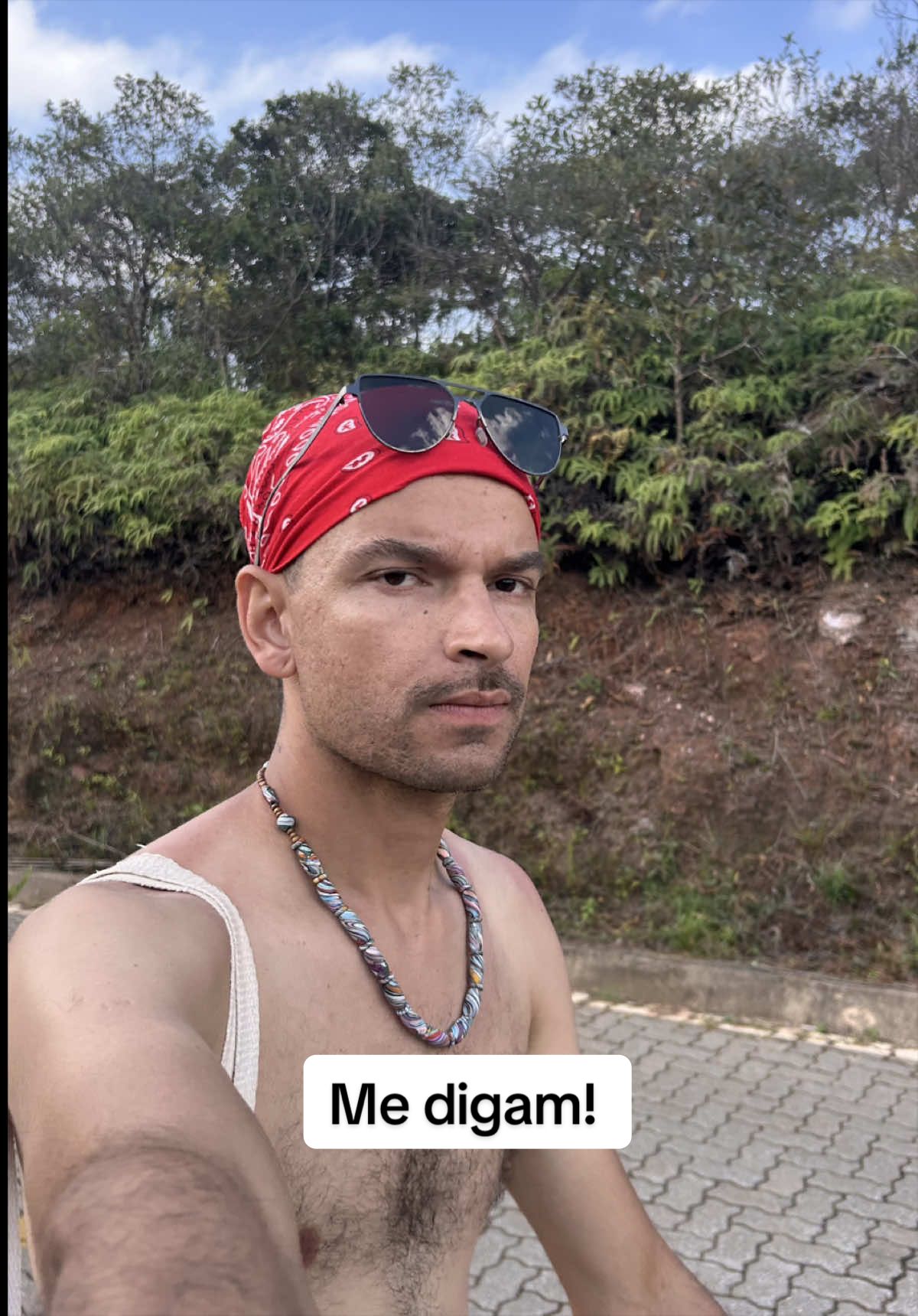 @Hugo Fernando Silva