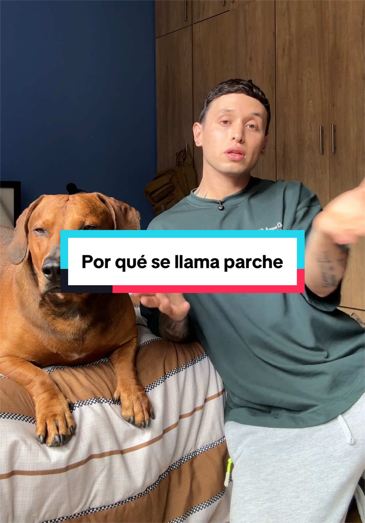 @Jorge Andr&eacute;s