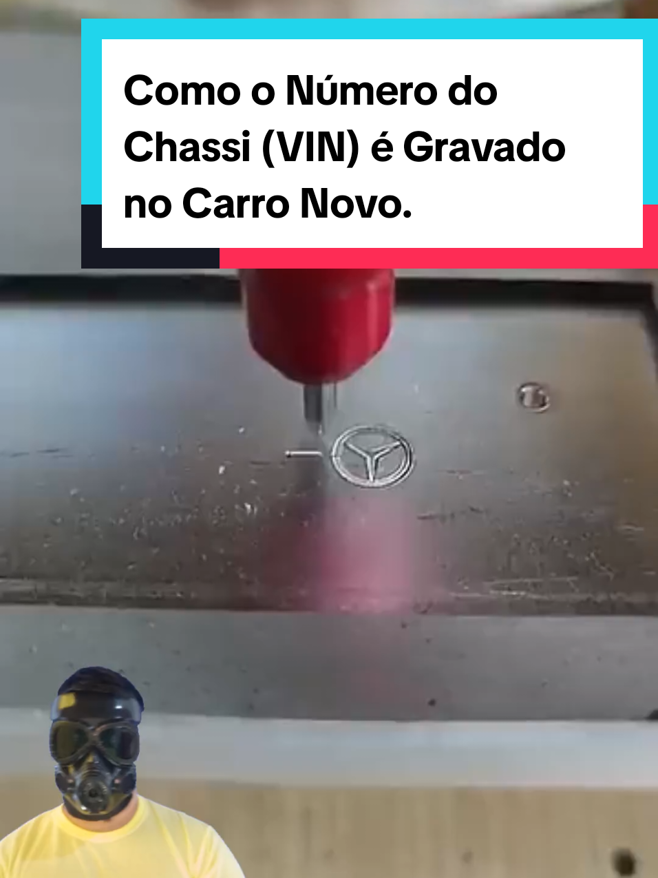 @Mundo da Curiosidades