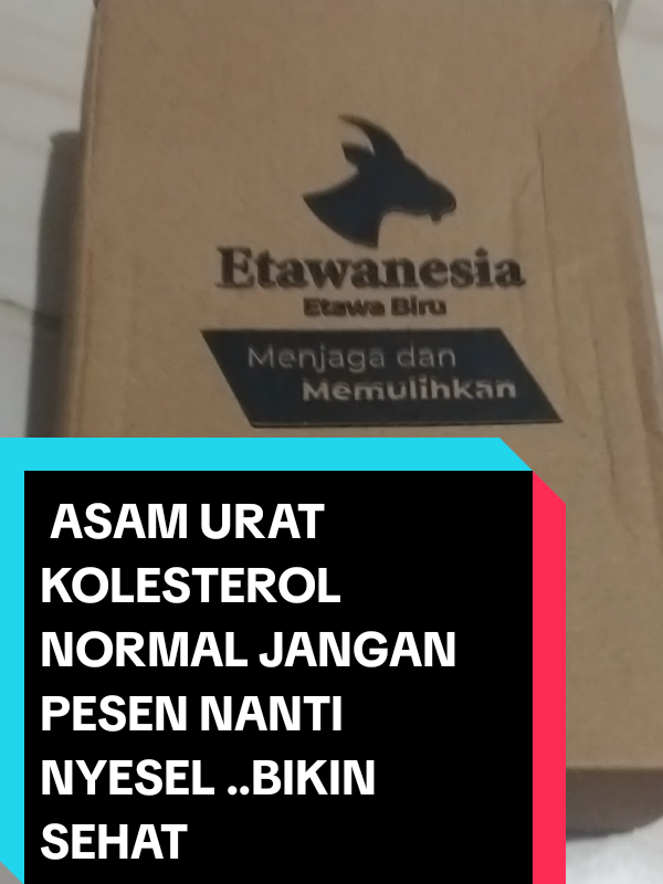 @erpan yulianto