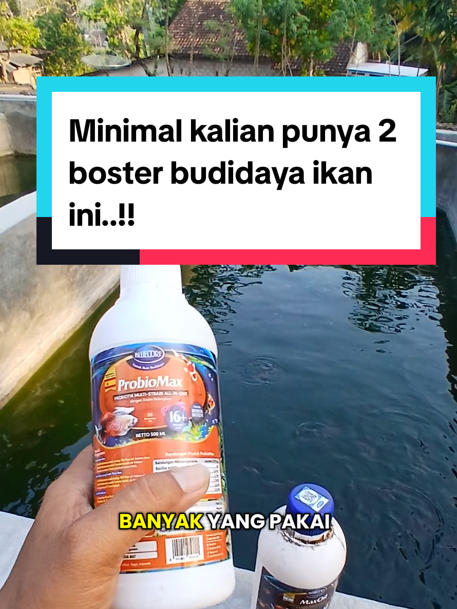 @Kang_Ewi