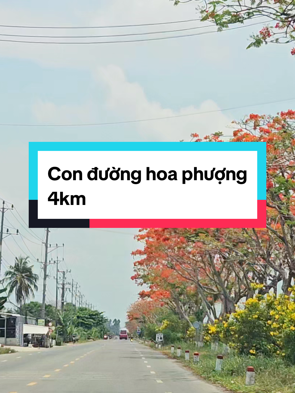 @VF3 Lai Vung Thu&ecirc; &Ocirc; t&ocirc; tự L&aacute;i