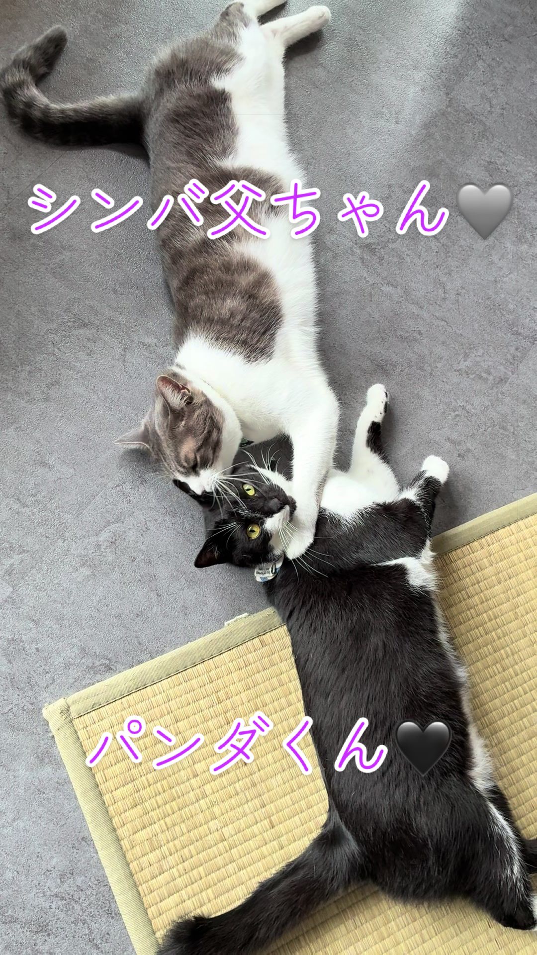@はっぴー野郎☺︎