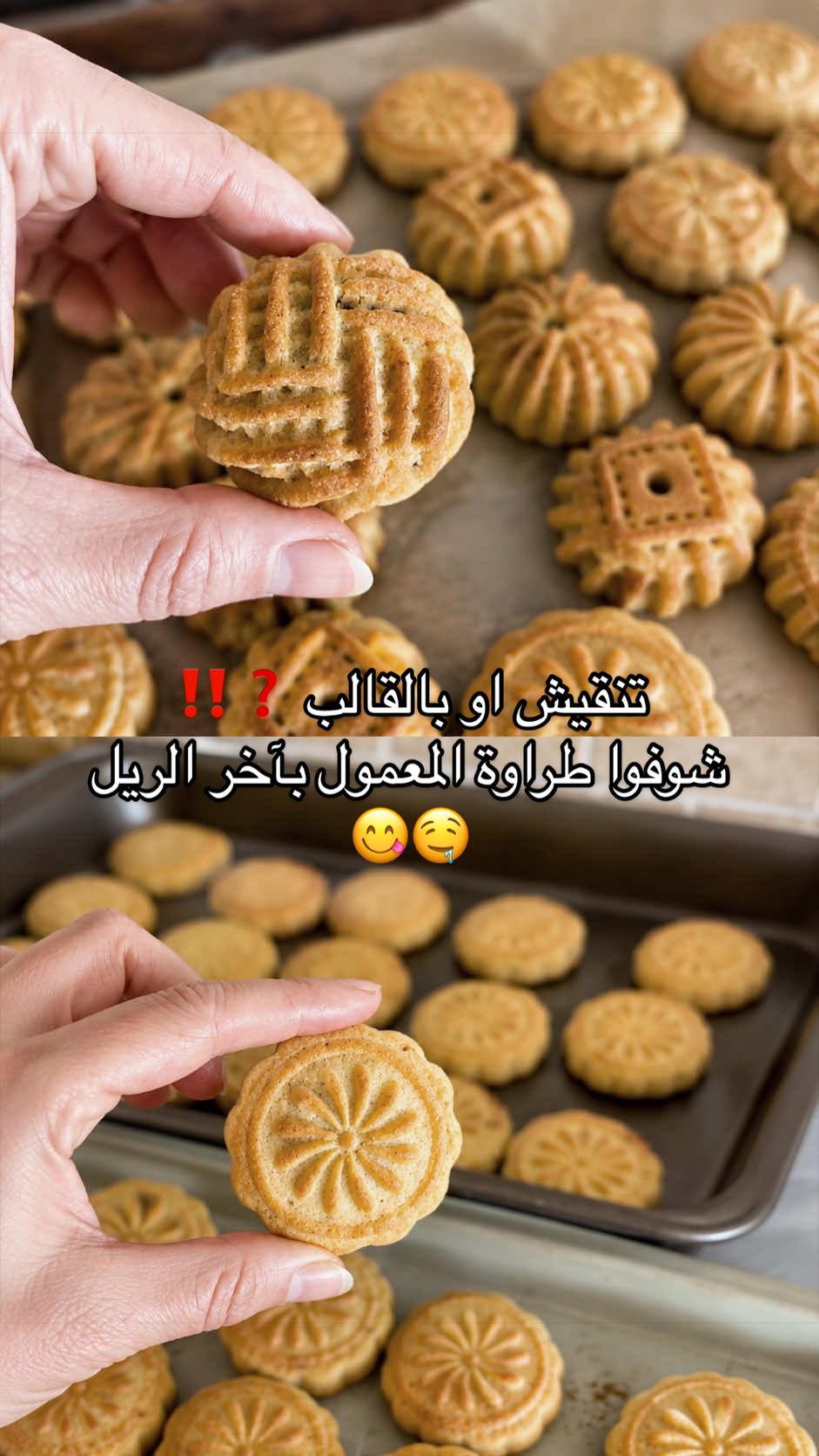 @Ruba Jaradat3