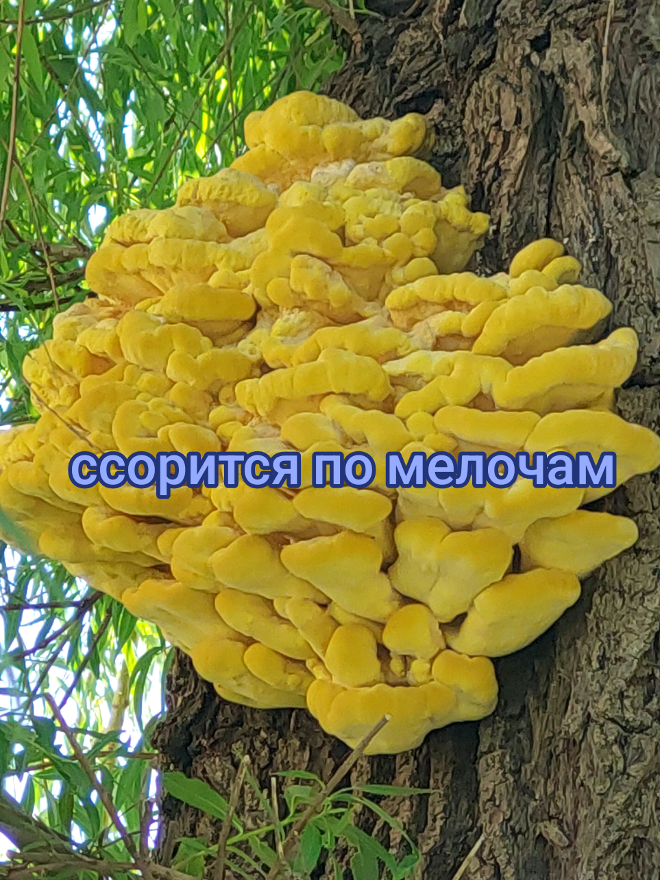 @Рыся✔️🇧🇾