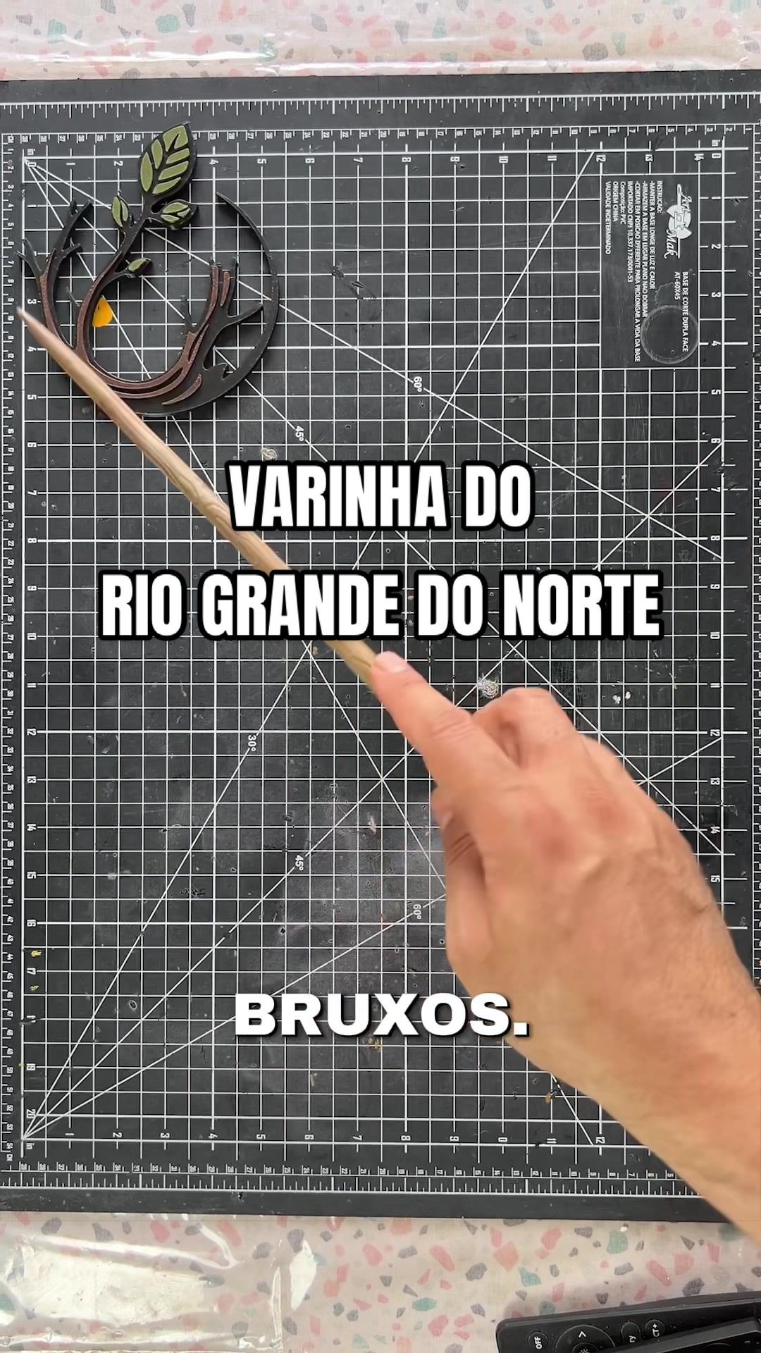 @Kaio Medau